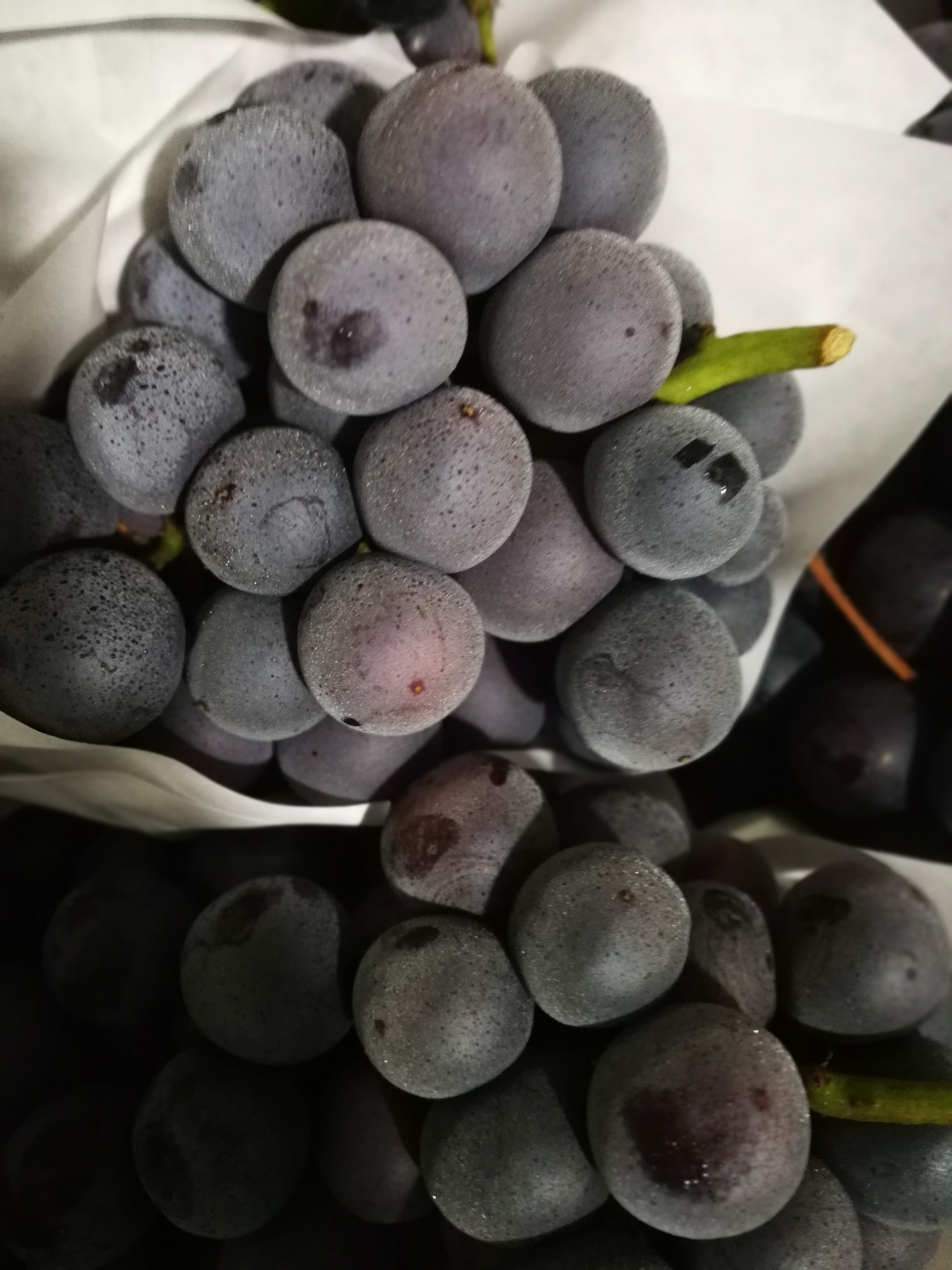 纯甜夏黑,悠悠巨峰,大葡萄乒乓价格惊爆!