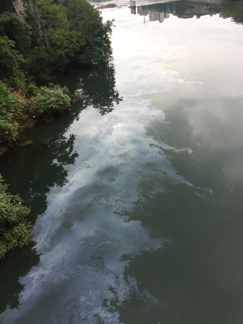 老西津大橋北側水面再次出現大片油汙