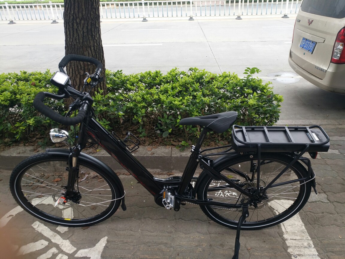 智能電踏車.中置力矩.