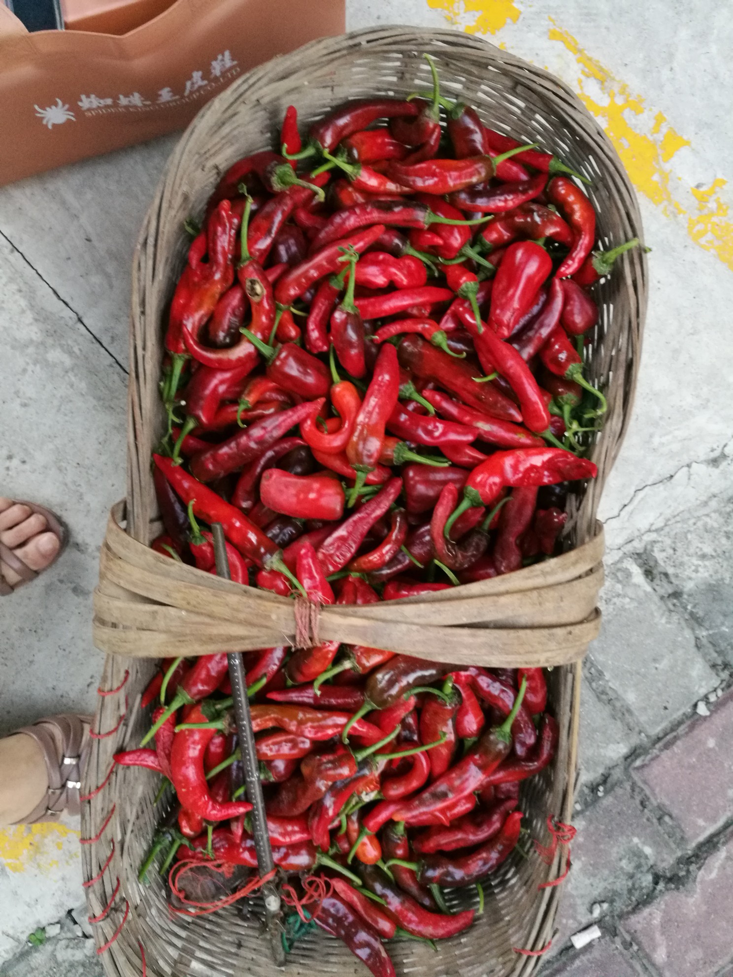 《百姓菜篮》本地的红辣椒